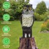 Lifelike Owl Decoy with 360 Degree Rotatable Head Scare Bird Squirrel Away Pest Repellent Bird Deterrent Outdoor Garden Yard Protector